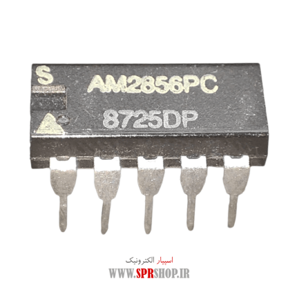 IC AM 2856
