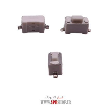 MIK 2PIN 0.5M PAKHSHI SMD(17)