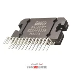 IC PAL 007C ORG - Image 2