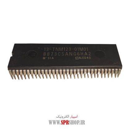 IC 8873CS ANG