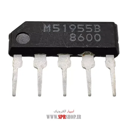 IC M 51955