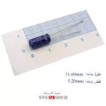 10MF 100V